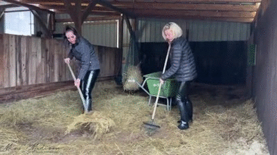 Feeding instructions with horse sh*t and goddess p*ss for a virgin